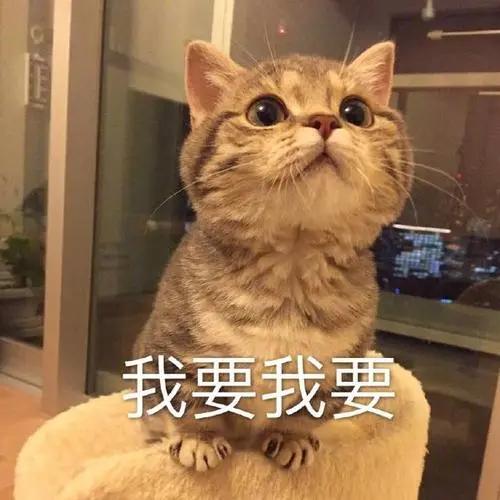 早起专业户