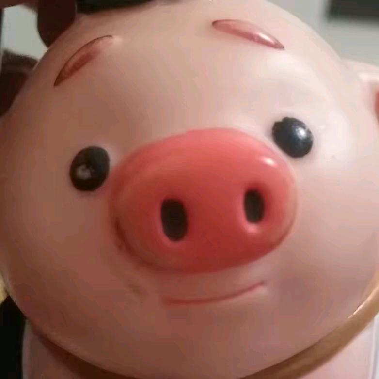 🌈 🌈桔子妹妹