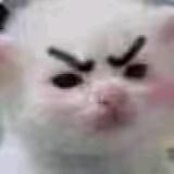 兔子睡不醒