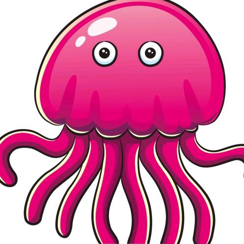 八爪鱼y