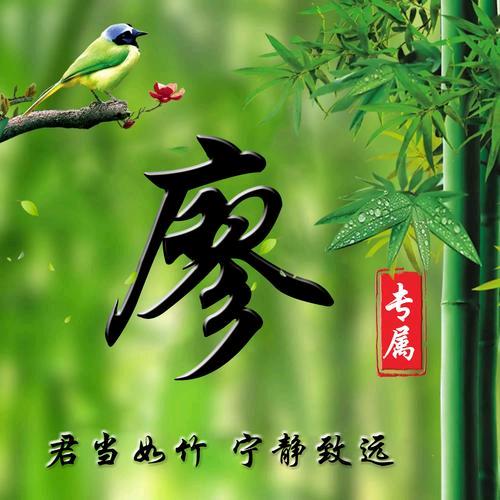 为爱停留