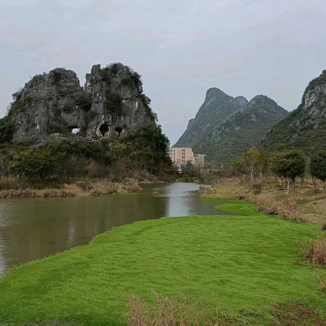 楠殷呐
