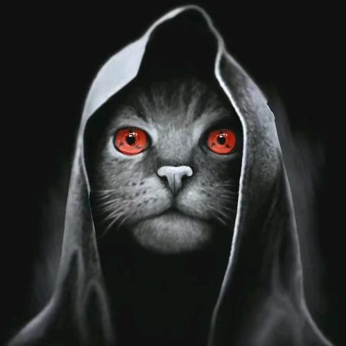 【渭·南】松 鼠 互 娱