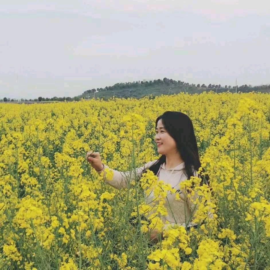 蚌埠市海曼滤清器有限公司