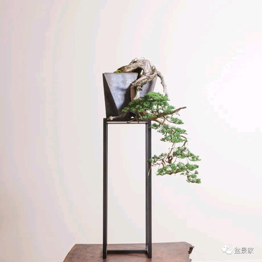 良陈美锦