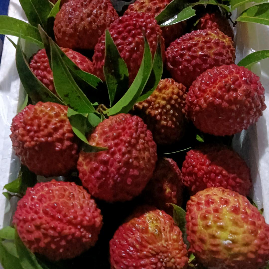 🌺落归好宿🌺