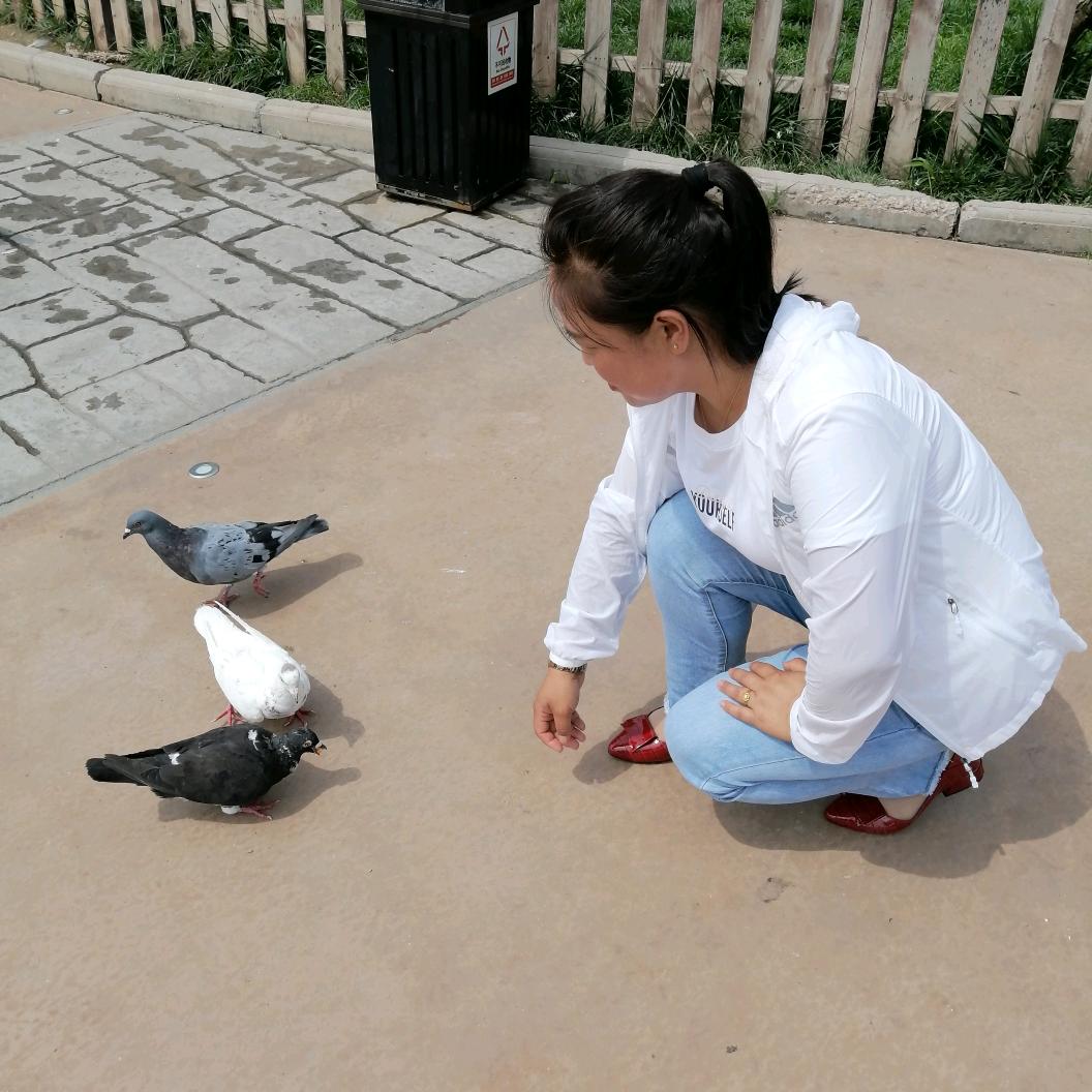 自由自在