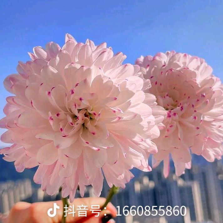 用户名82983947头像