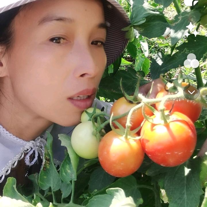 落日无安处