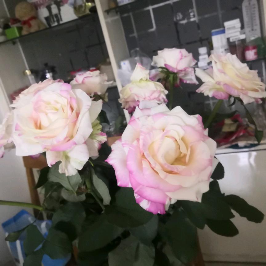 花儿