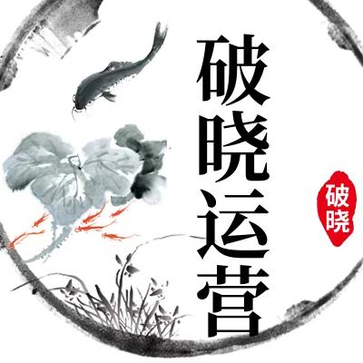 星缘美琪网络运营