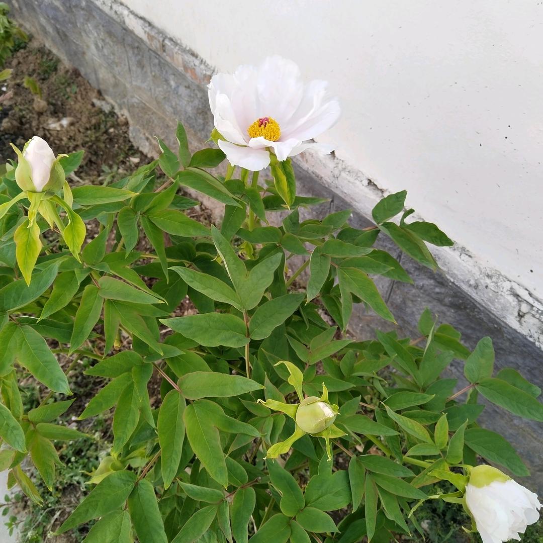 从此退出😬😀