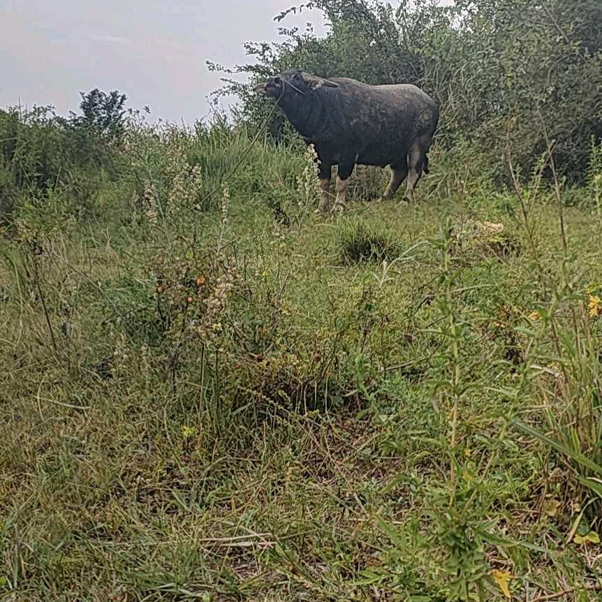 不👪放🚵‍♀️弃👍