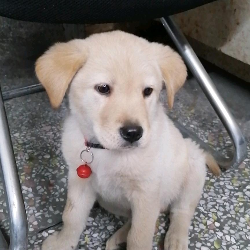 瑞鑫源塑胶有限公司