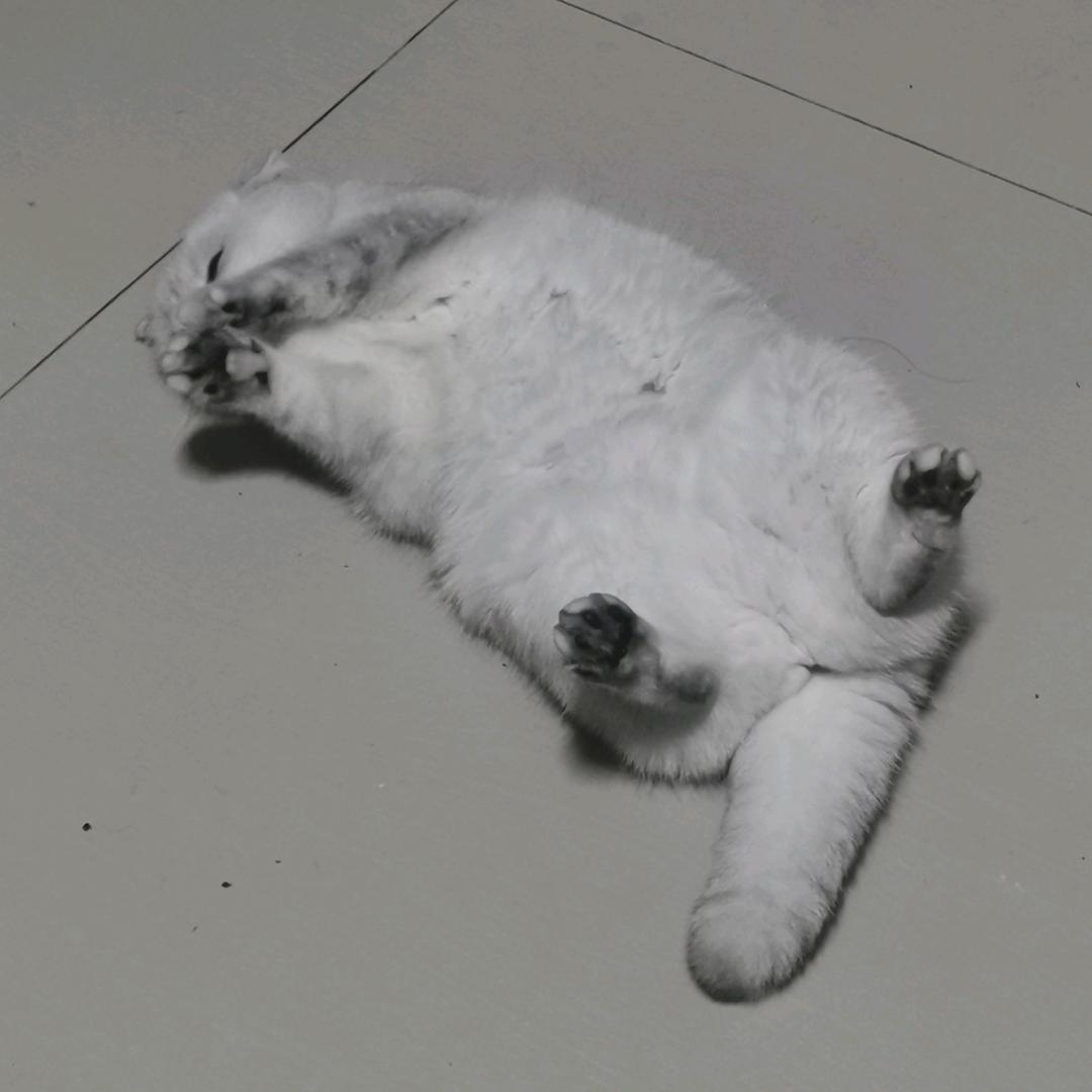 甜一点.🐷