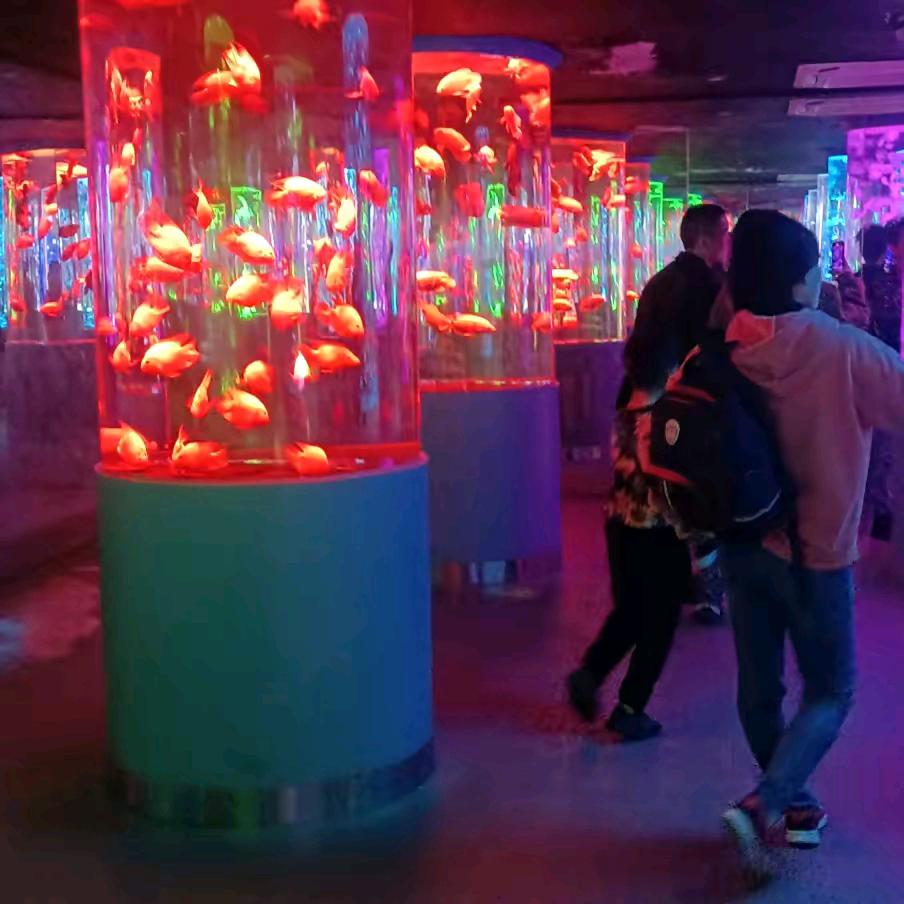 美好的回忆。