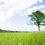 沛县曹哥送水到家