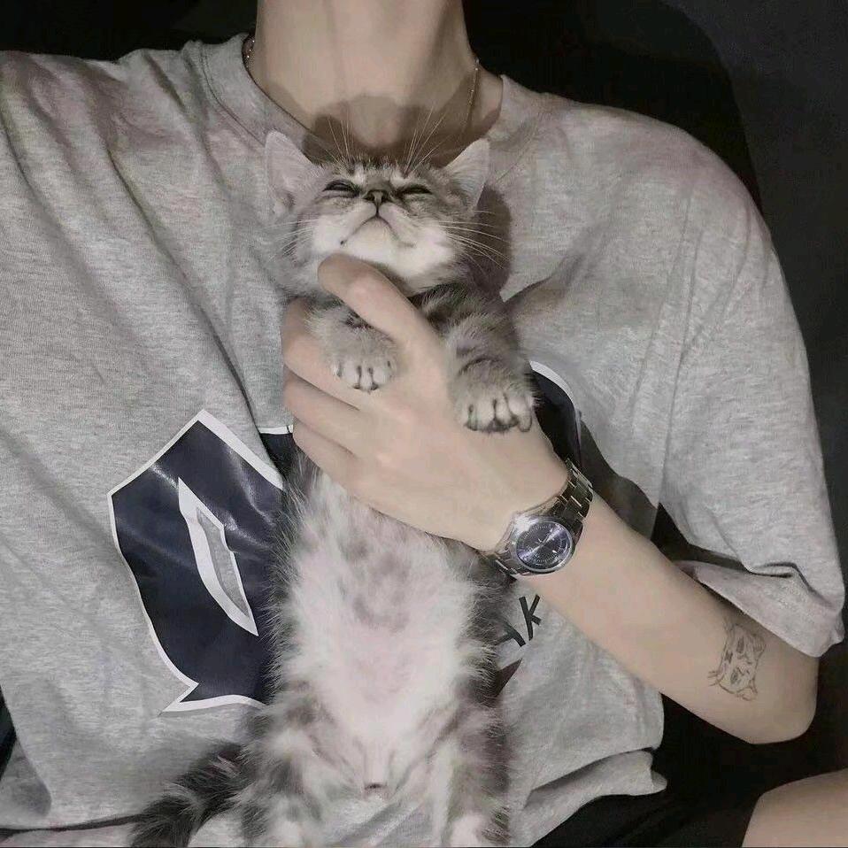 羽扬君