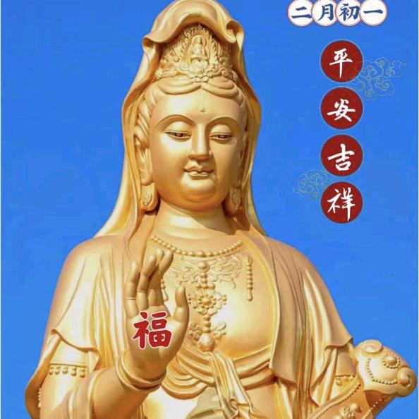 花开富贵🫶好运连连🙏