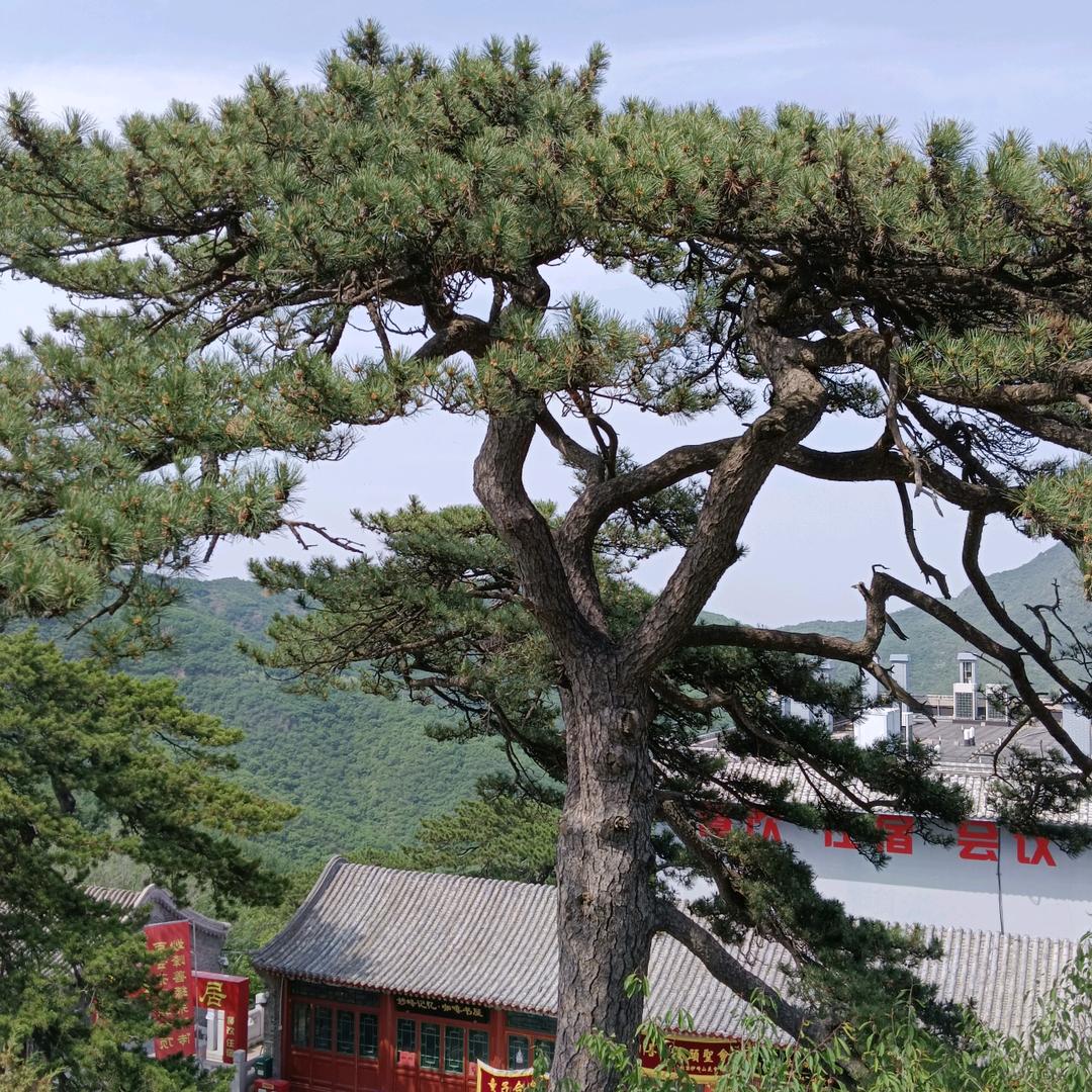 短暂人生