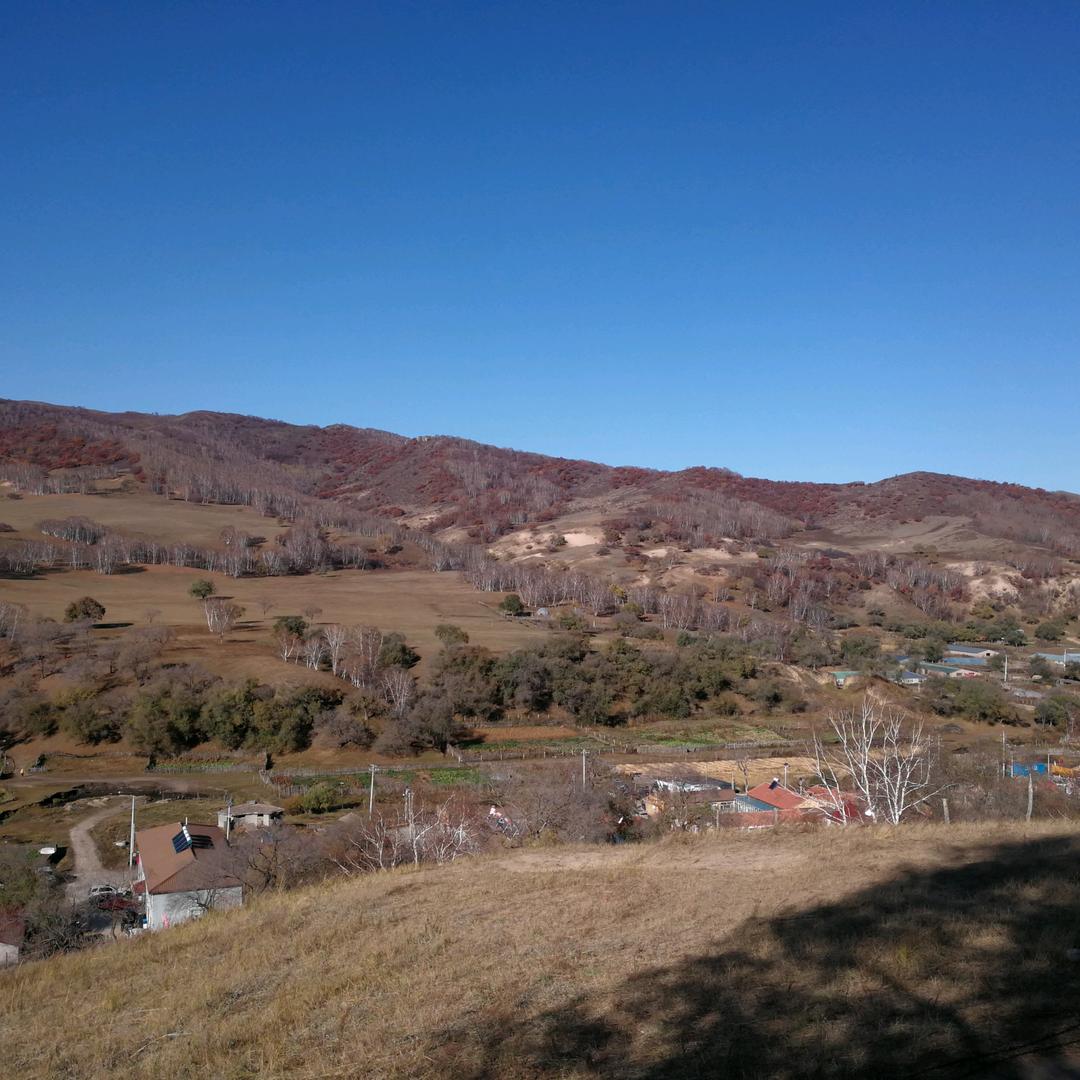 来哥（关注必回）