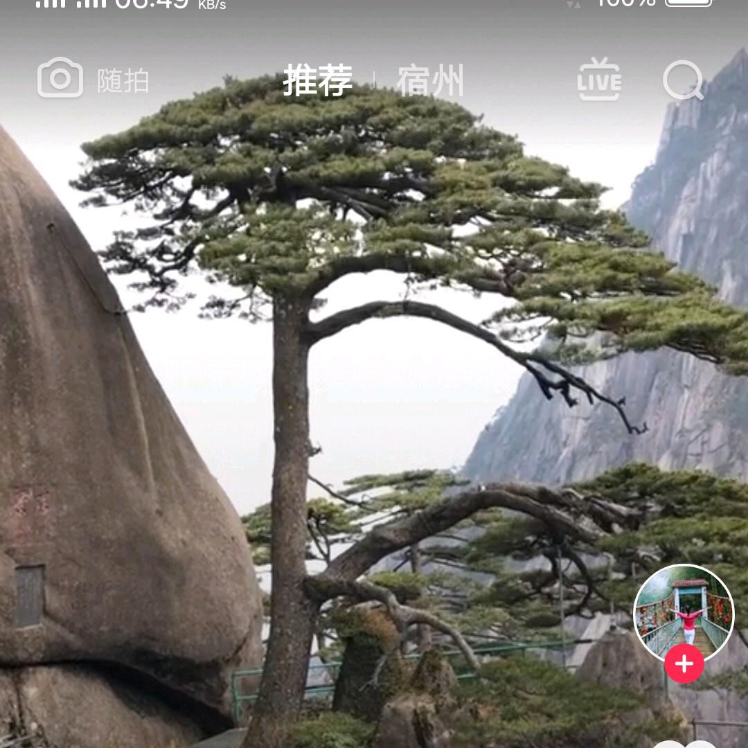 孤雁难飞