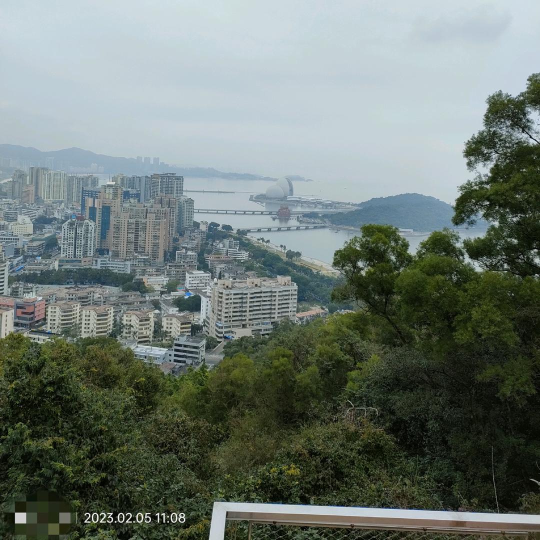 小白哥——虫控除甲醛