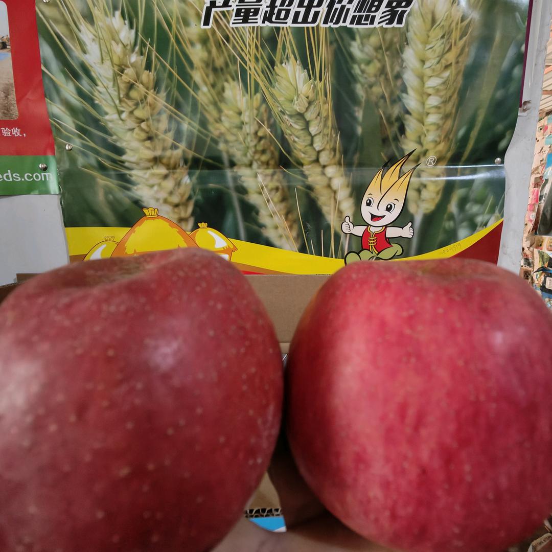 封丘县百事利清泉农资