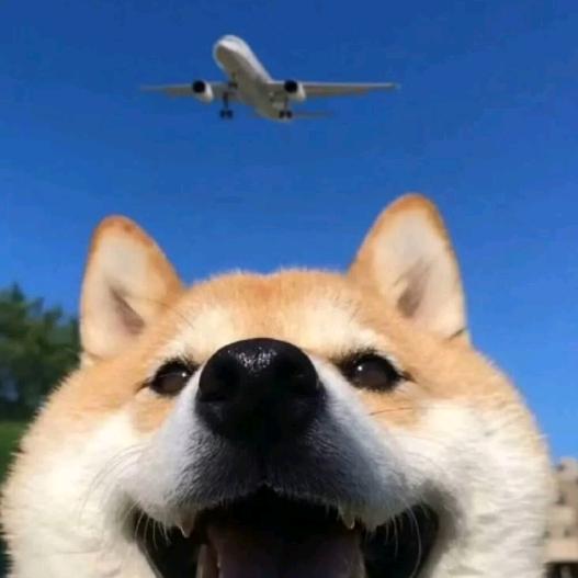 🍗