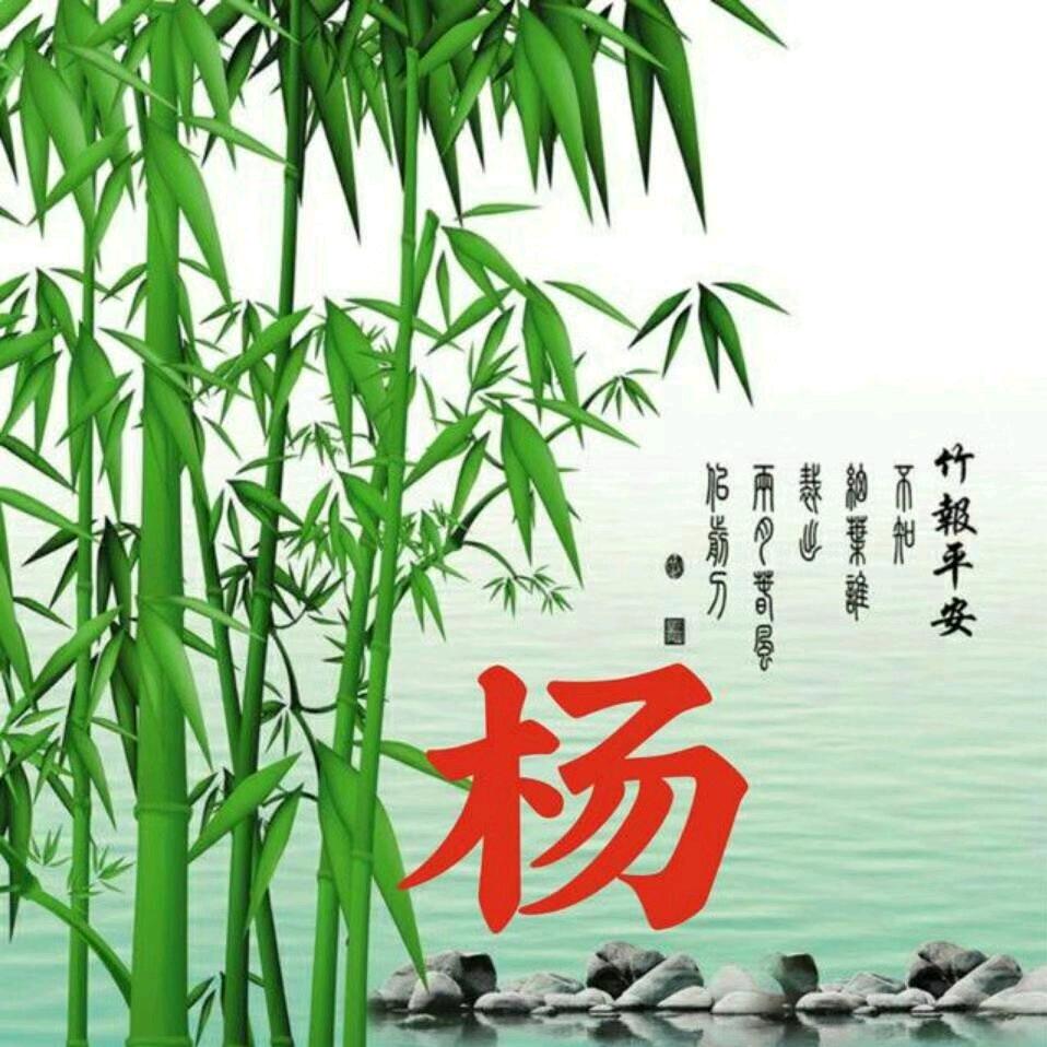 老杨美缝保洁