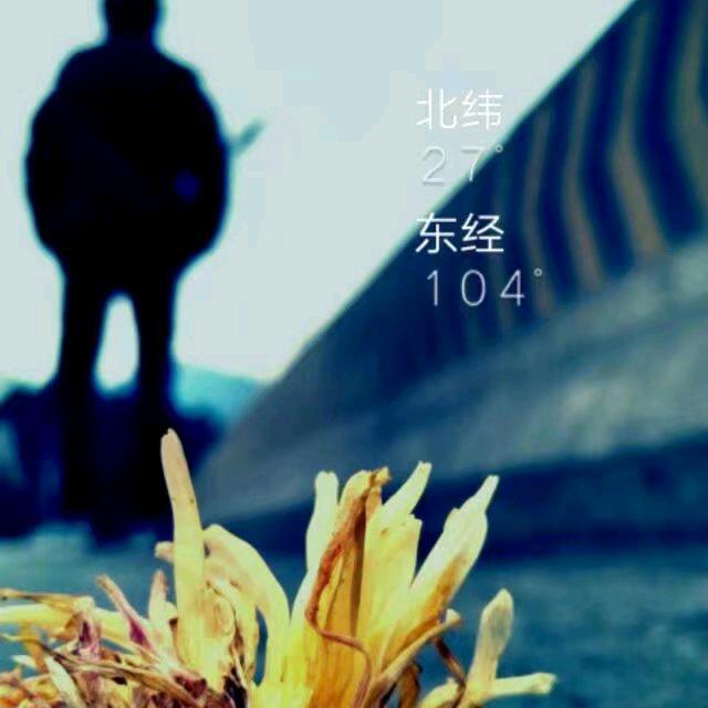银少