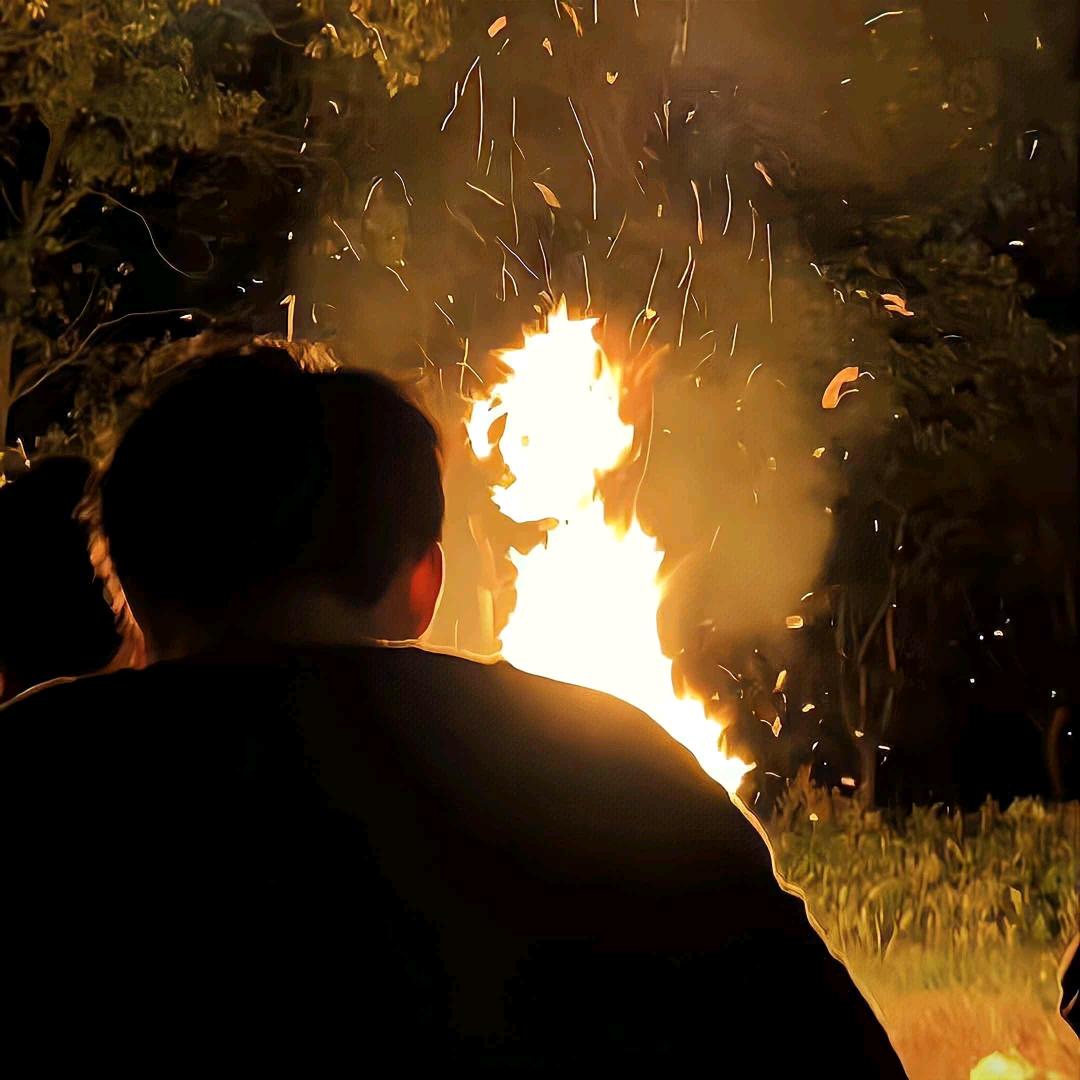 “朝花夕拾”（王者荣耀）