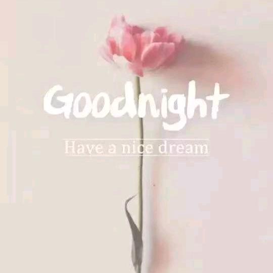 🎣甩竿误入桃花源🍑