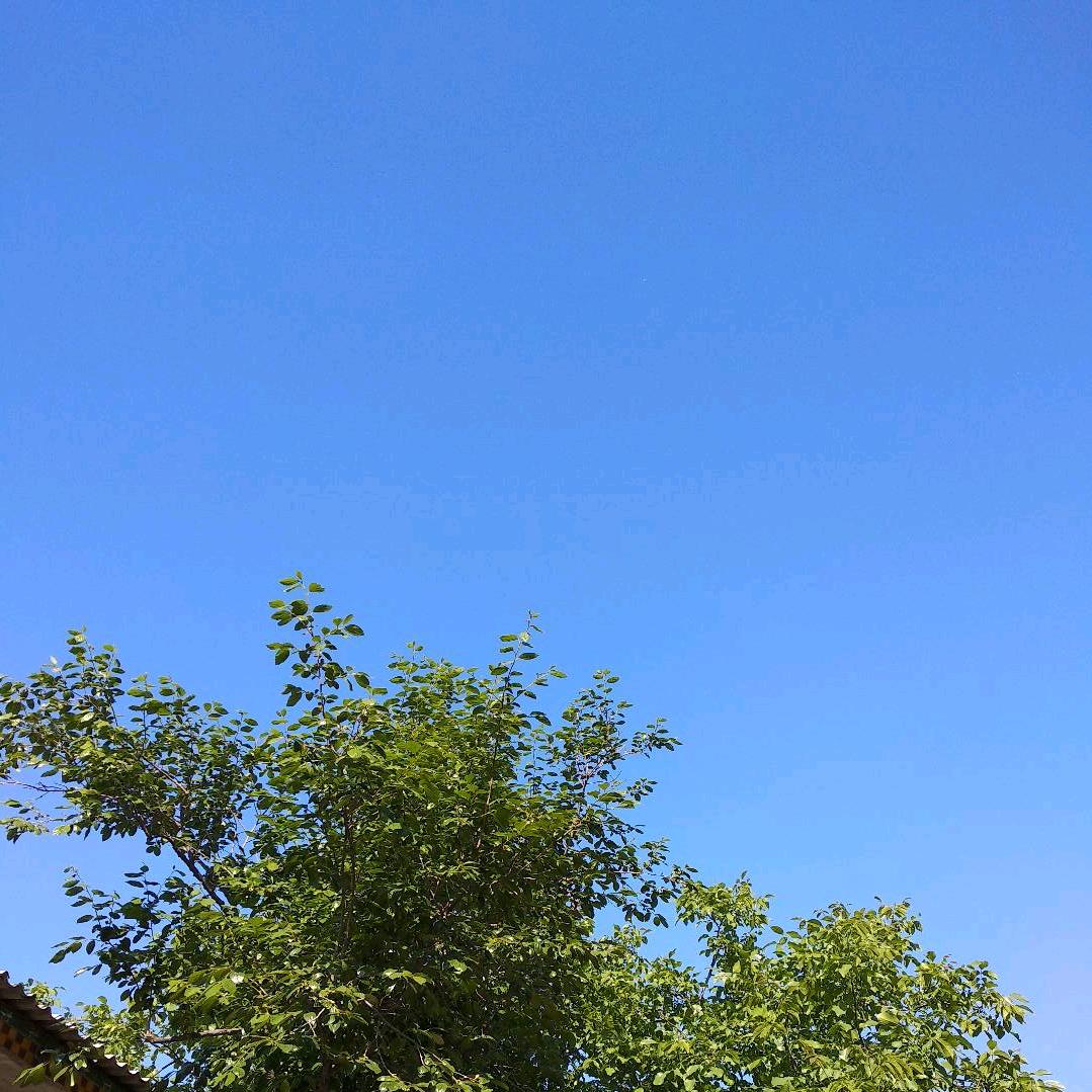 小石还是很靠谱