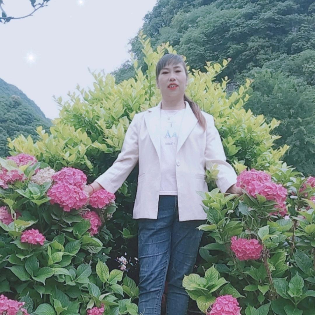李群
