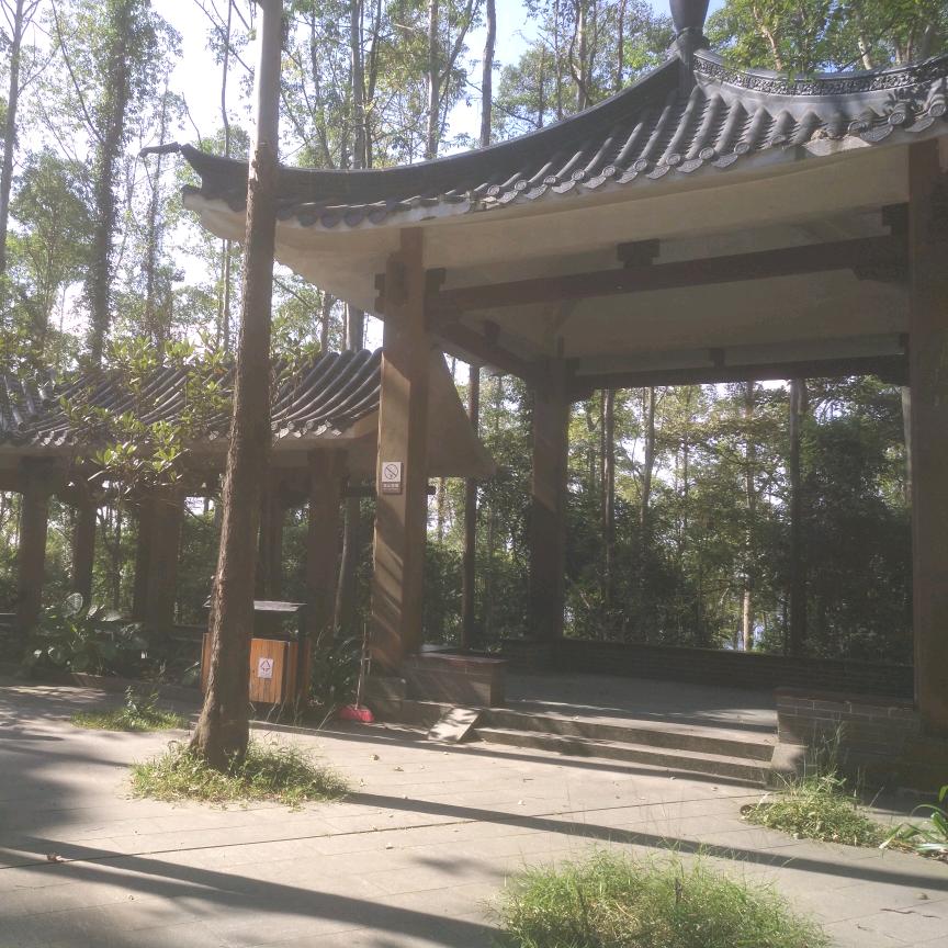 💞ღᩚ᭄光芒ꦿ万张꧔ꦿ࿐ᮨ໌