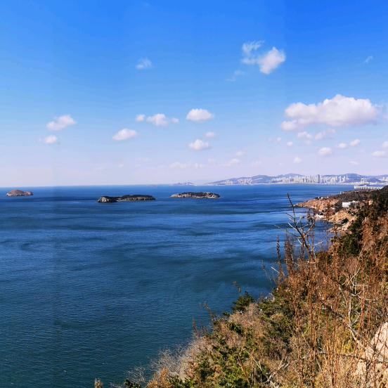 海波