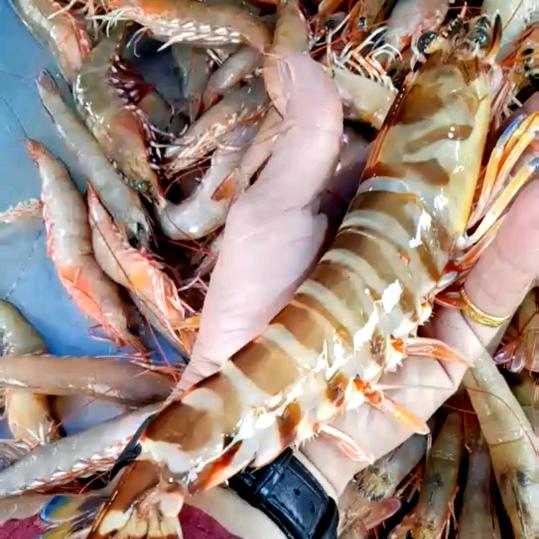 合发海产品
