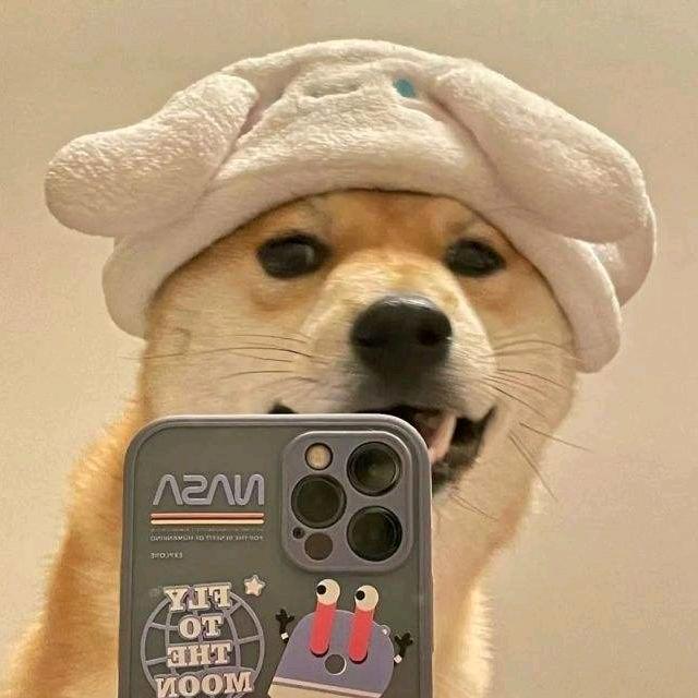 汹崽不是崽是I love you