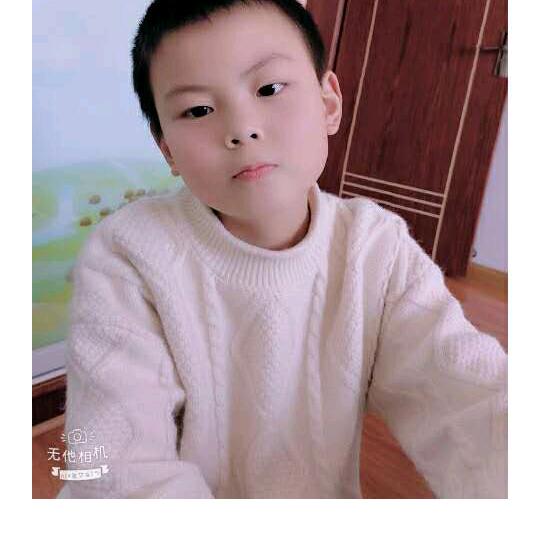 ☘️向阳花开🌼