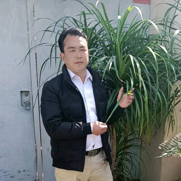 李氏哥