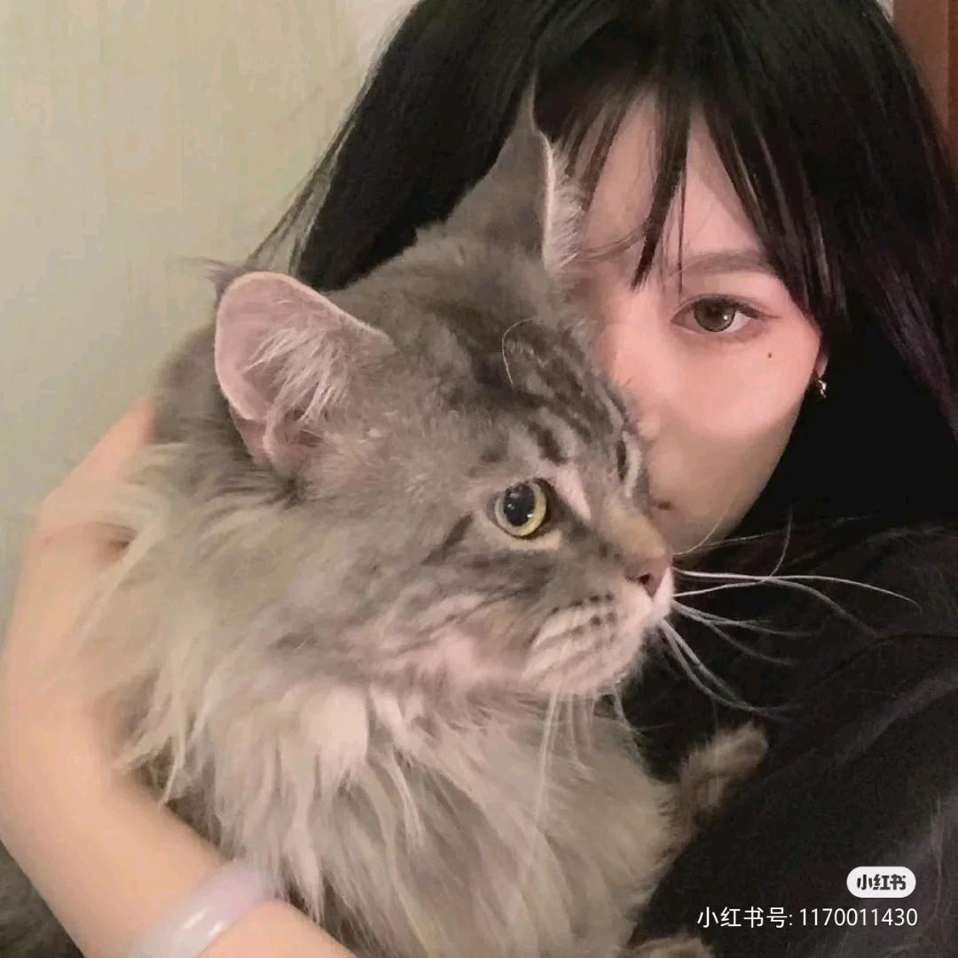 伤心蔷薇