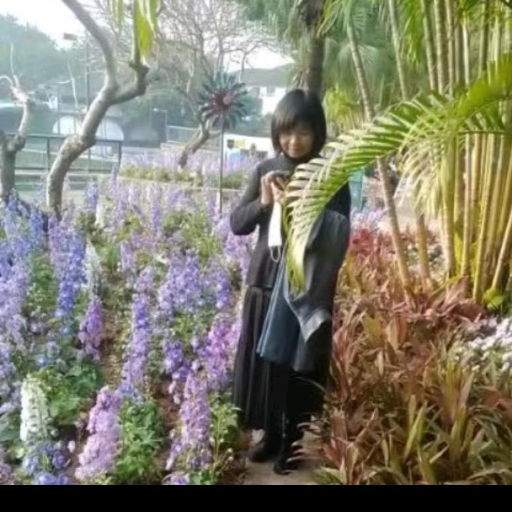 心如止水