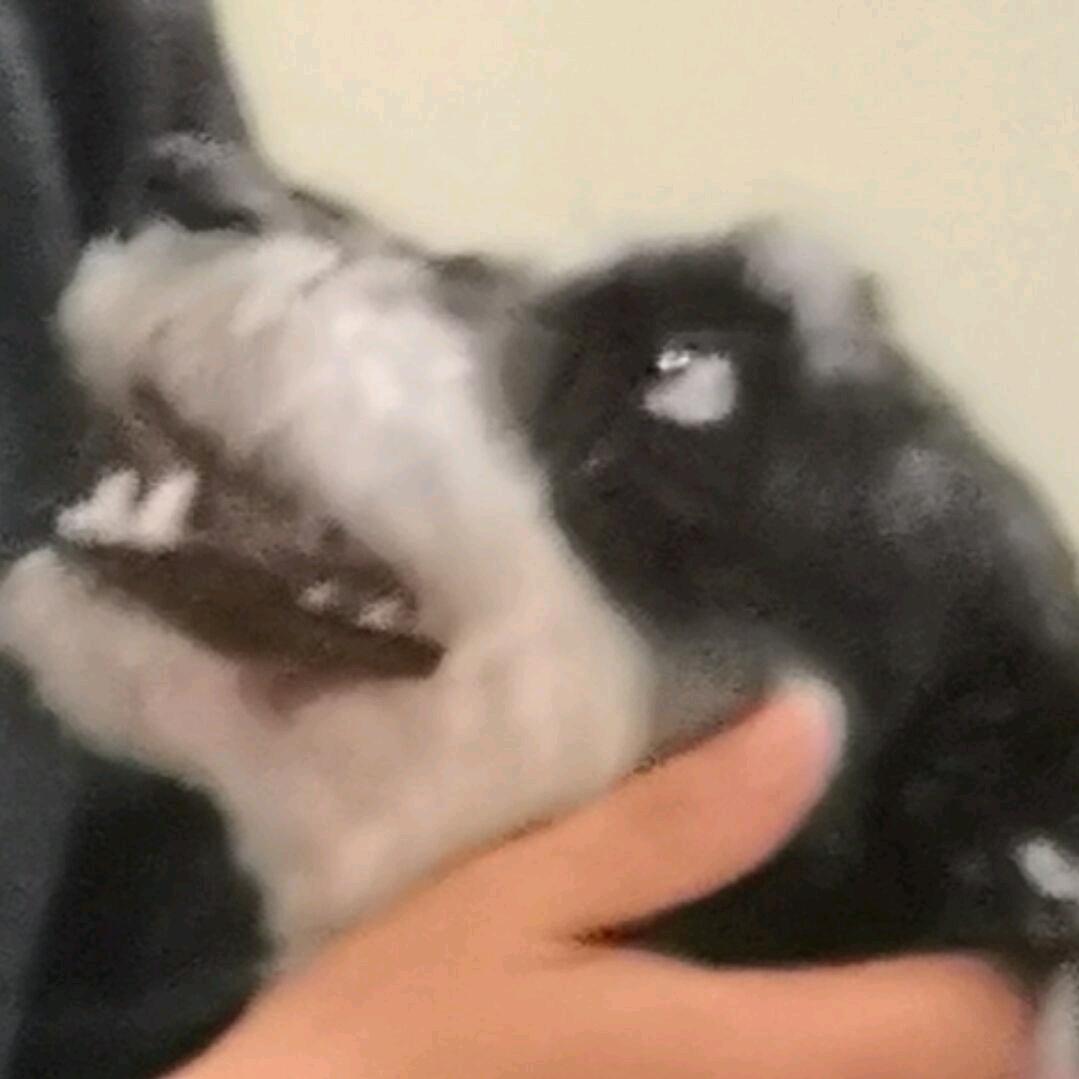 烧炉子的弧圈选手