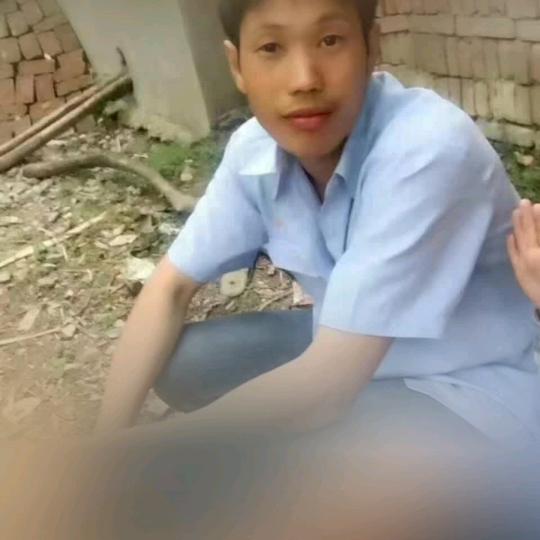 陳心如意