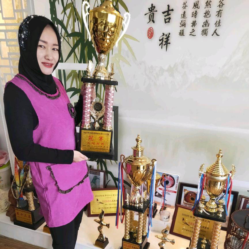 天辉丽燕赛鸽寄养棚