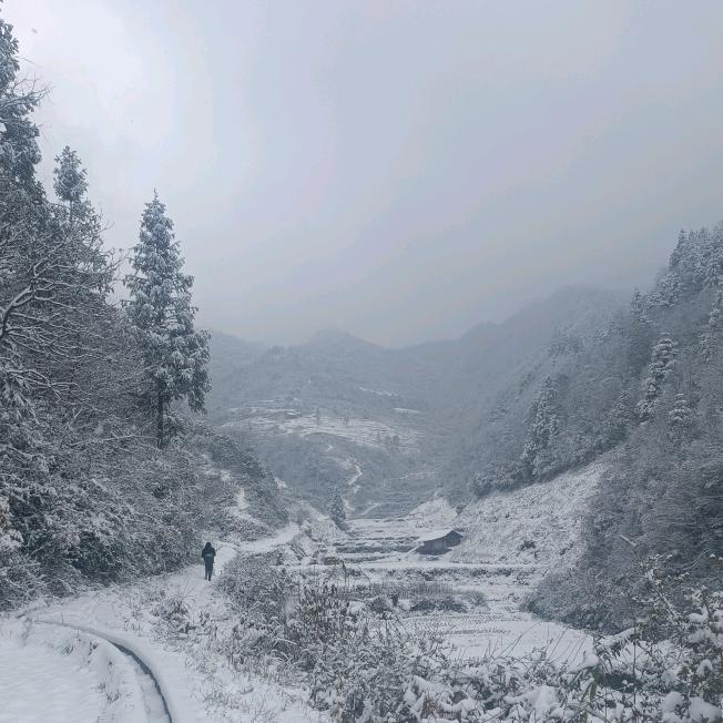 发发全屋定制