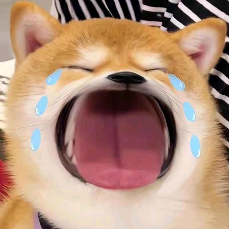 小木土