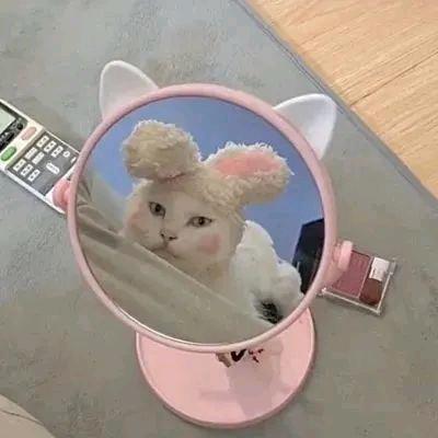 ～秋秋～