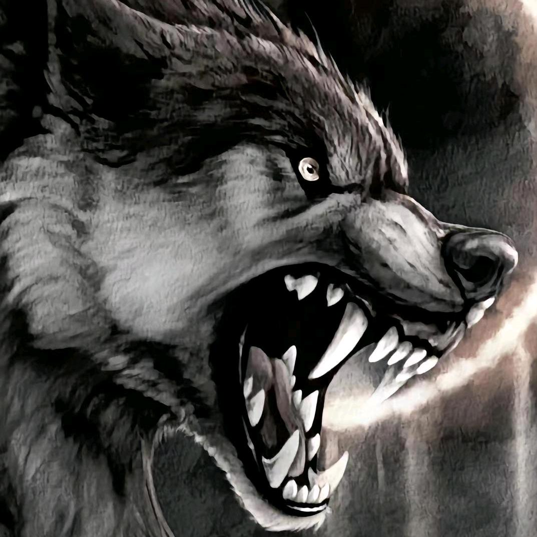 狼🐺王（与你同行）